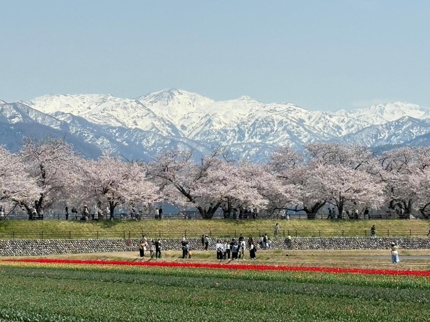 ヨーコのお宿 わくわく Toyama Station Esterno foto