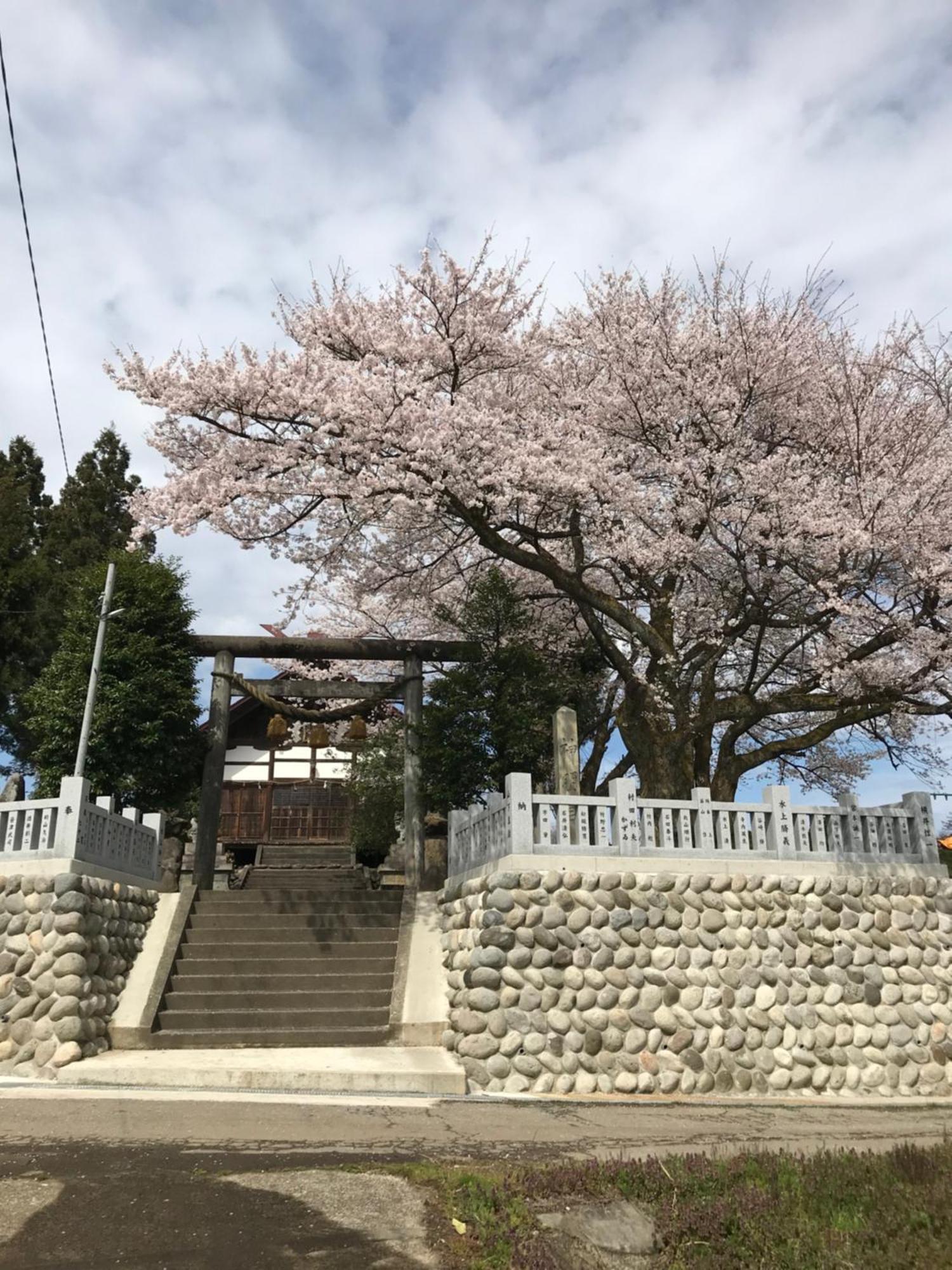 ヨーコのお宿 わくわく Toyama Station Esterno foto